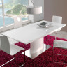 Обеденные столы DUPEN DT-01-160 белый глянец фото 1 — New Style of Furniture