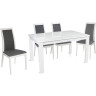 Обеденные столы RAUL белый / белый матовый фото 2 — New Style of Furniture