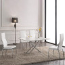 Столы-трансформеры B2219 AG белый / хром фото 1 — New Style of Furniture