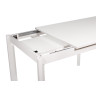 Обеденные столы LEM экстрабелый / белый фото 4 — New Style of Furniture